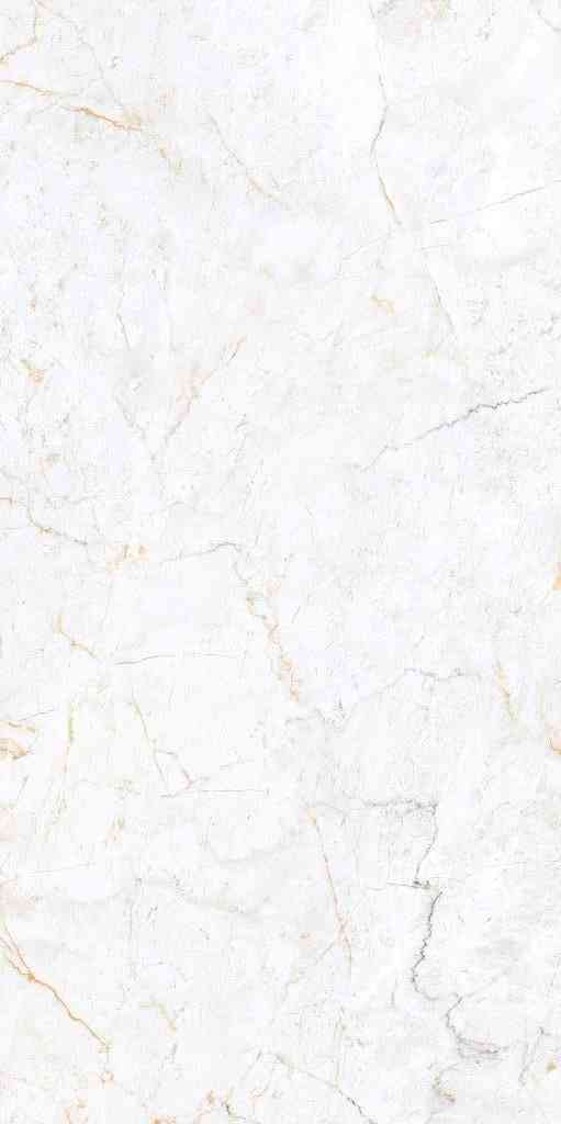 4x2 - Pgvt Pesto - Agl - Regal White