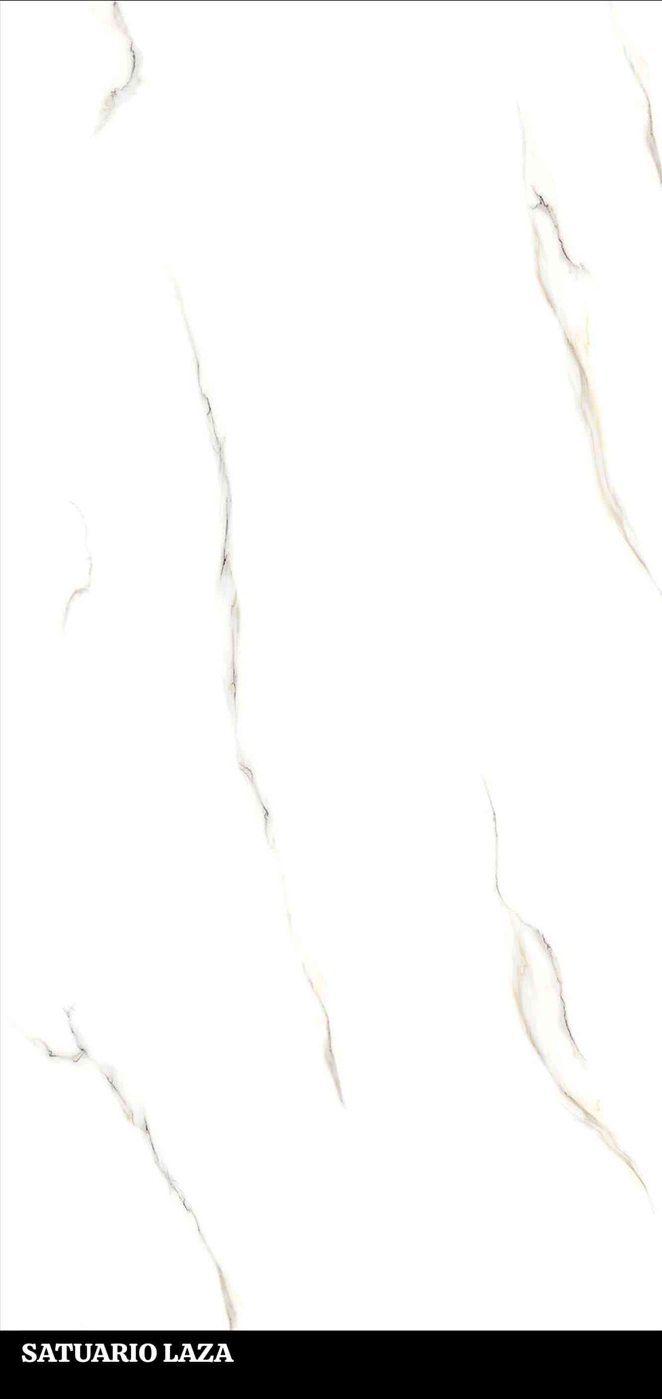 4x2 - Pgvt - Samp - Satuario Laza