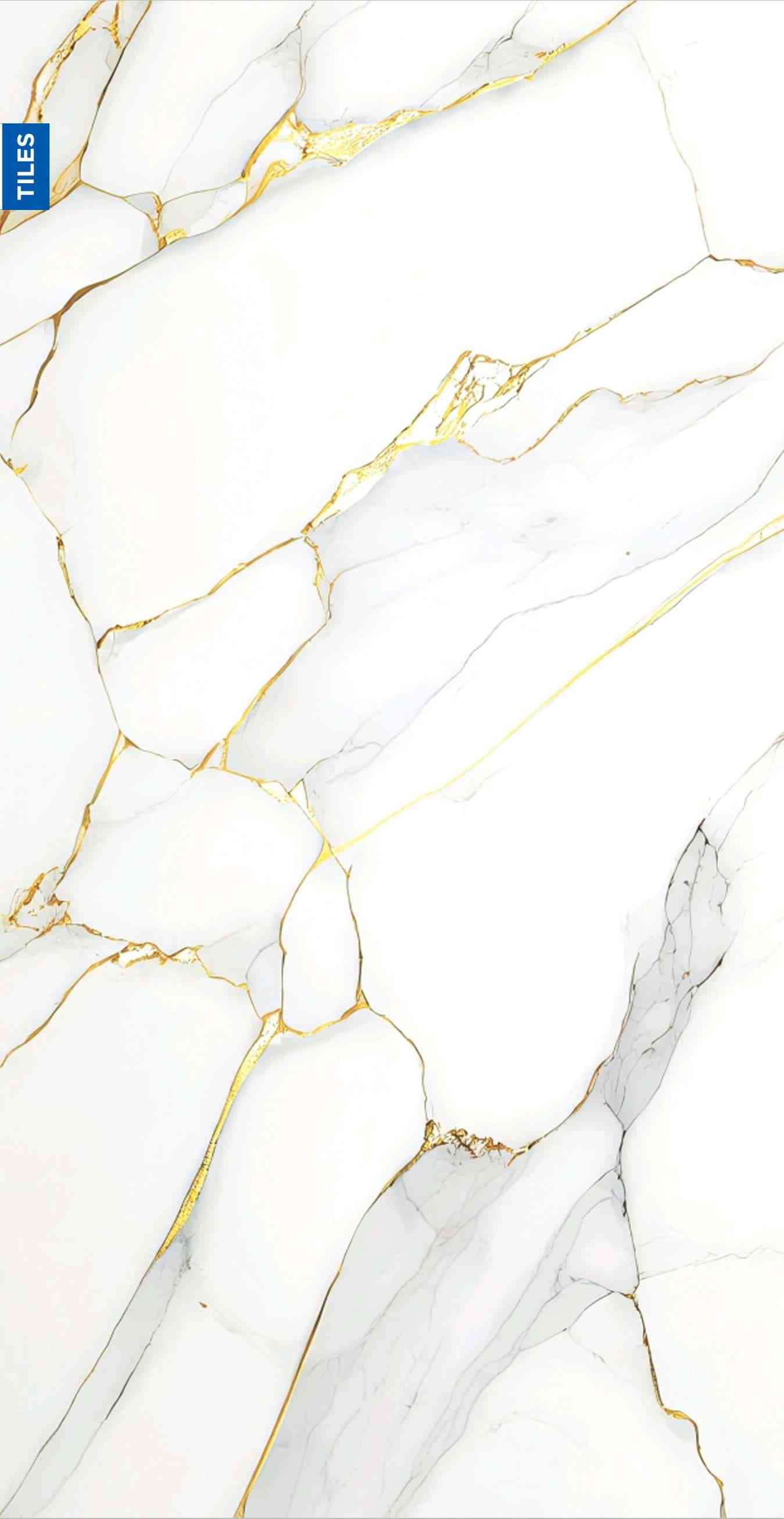 4x2 - Hd - Rudra - Paxos Gold Rw