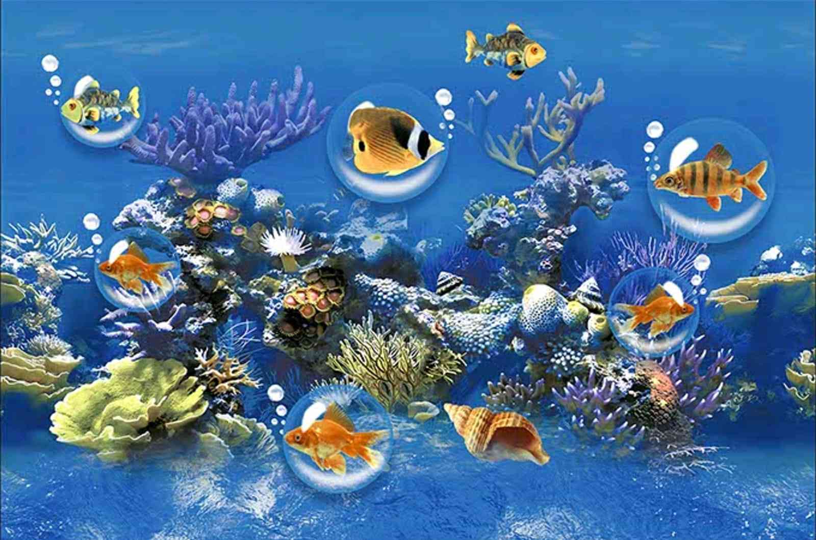 18x12 - Adesh - 1267 - Hl 2