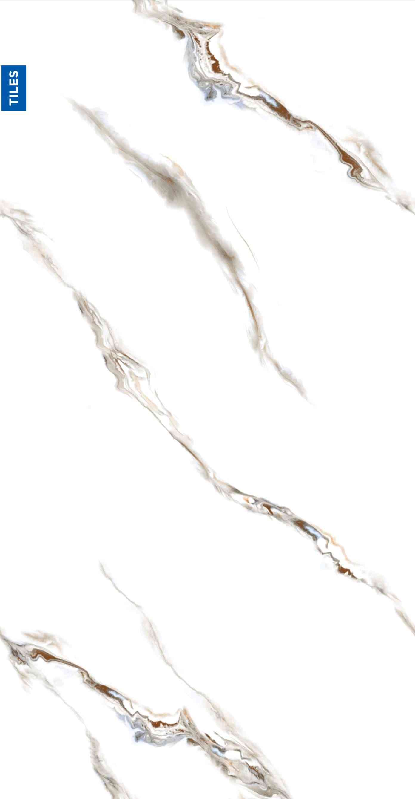 4x2 - Hd - Rudra - White Tiger Rw