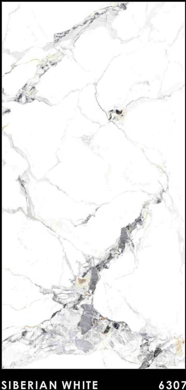 4x2 - Pgvt - Rudra - Siberian White - 6307