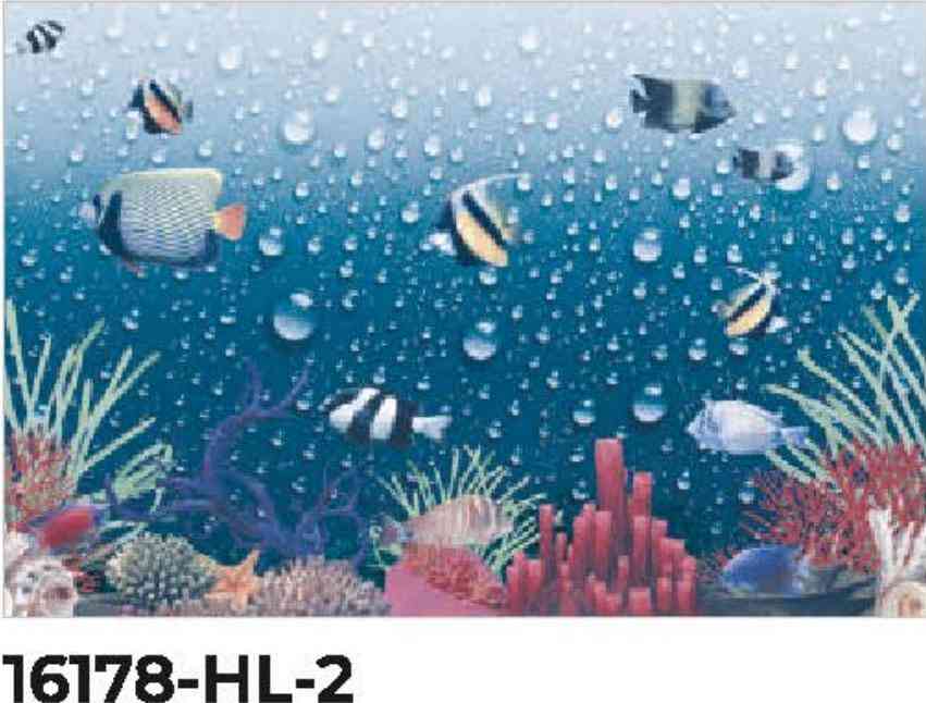 18x12 - Rudra - 16178 - Hl 2