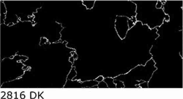 12x24 - Ace - 6353 / 2816 - D