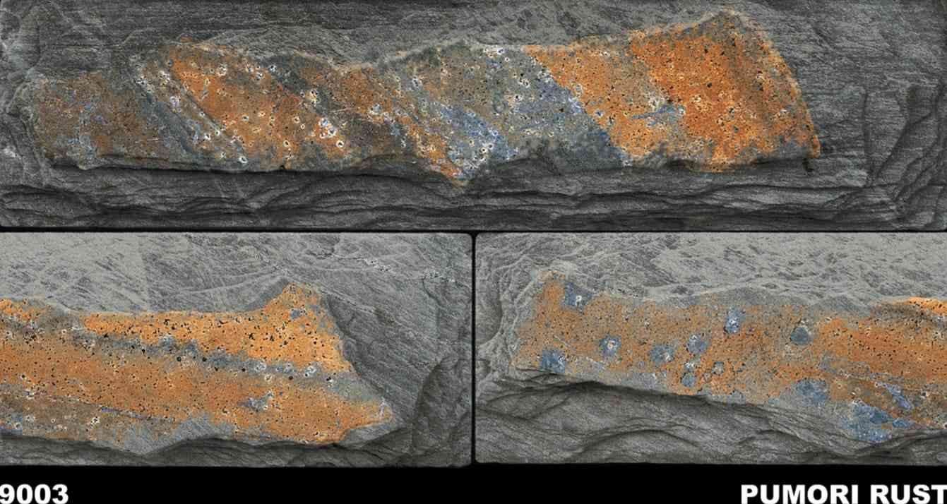 12x24 - Rudra - Ele 9003