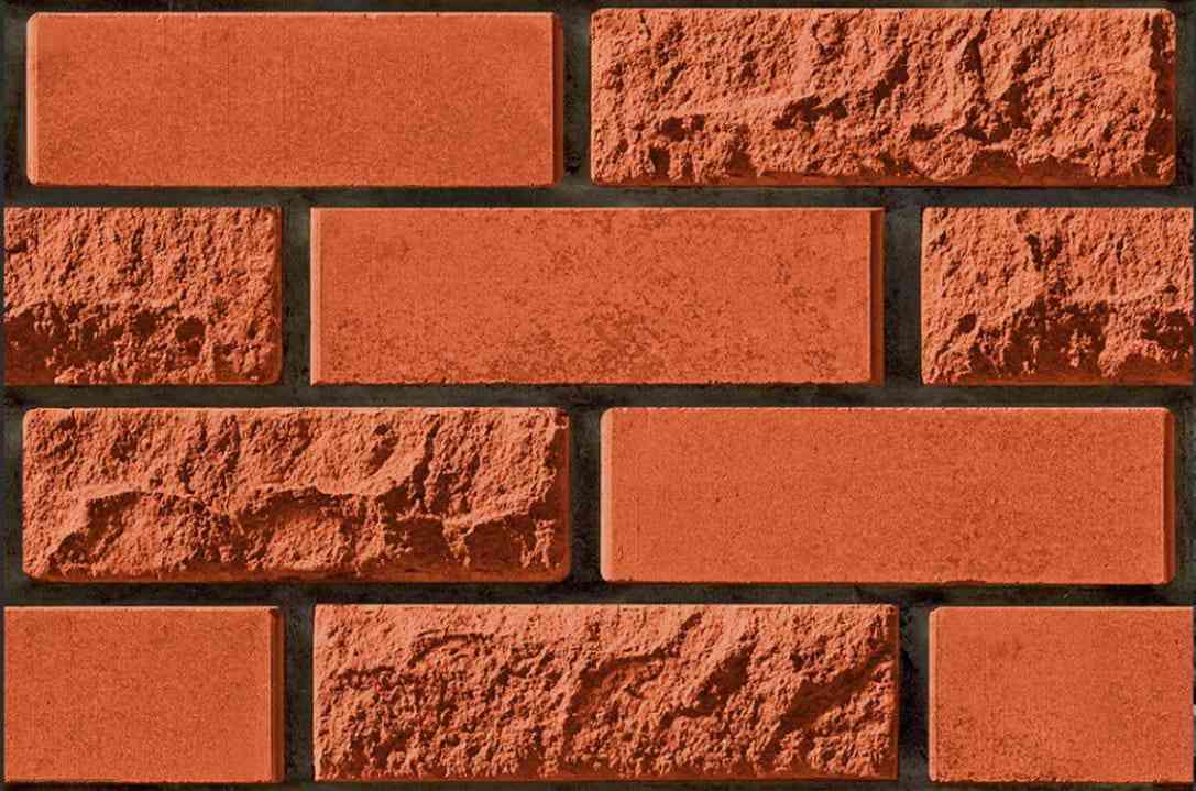 Ele - 18x12 - Adesh - Andaman Nicobar 07 A